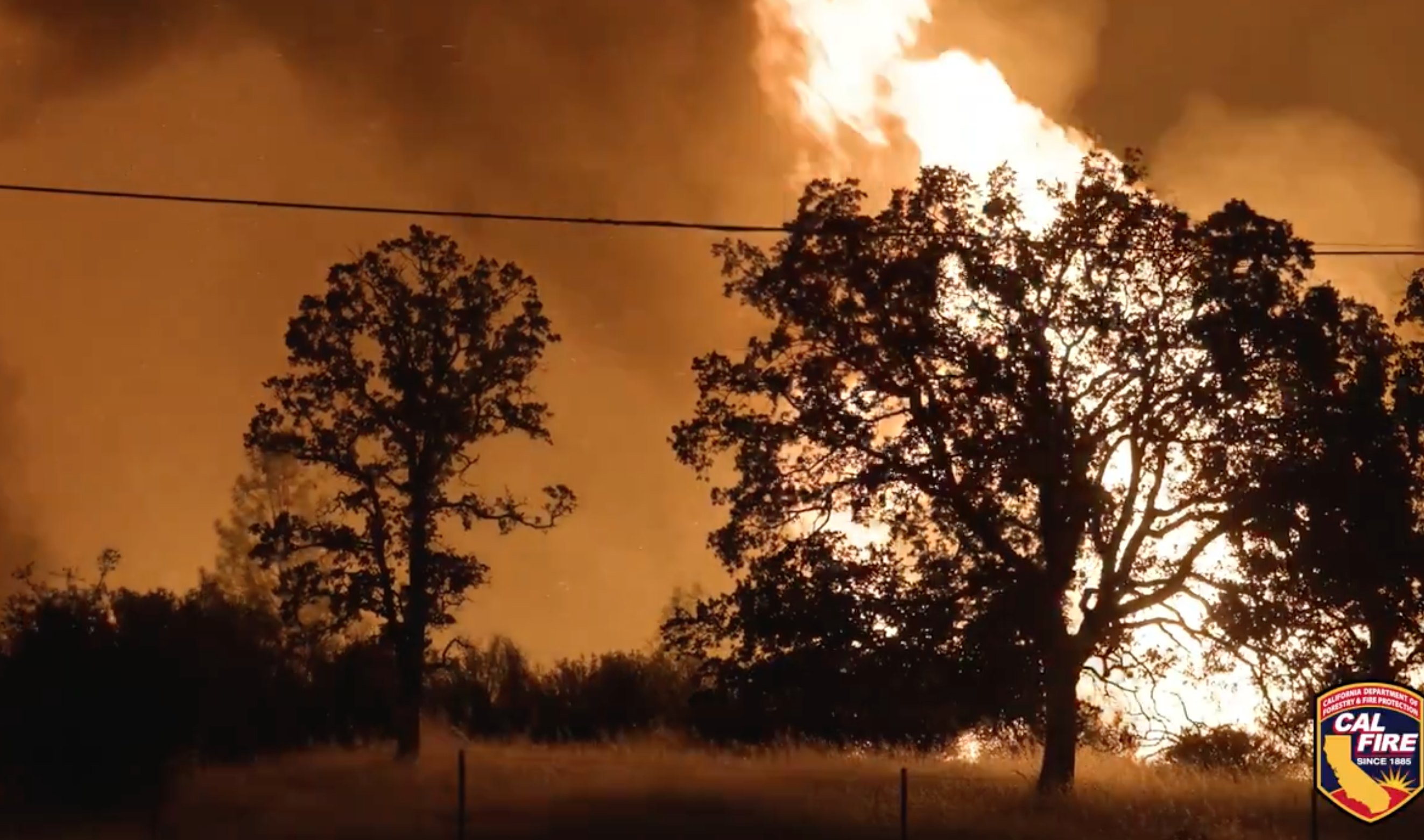 Negli Usa aumenta il numero delle vittime provocate dal fumo degli incendi boschivi